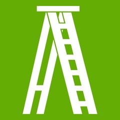 Stepladder icon green