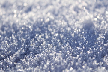 Obraz premium harvest snow 2018