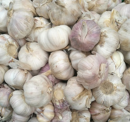 Close-up garlic bulbs
