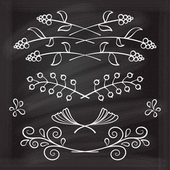 Set of hand drawn floral elements on the chalkboard.
