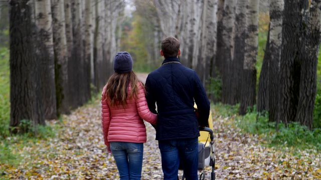 Parents walk in the woods with a stroller