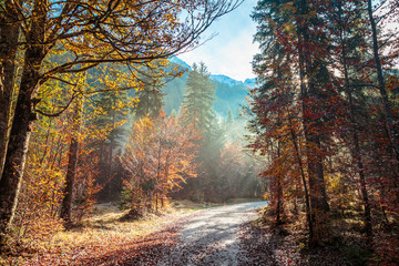 Obraz premium trekking path in an autumn day in the alps