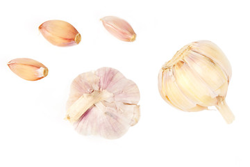 Garlic isolated white background