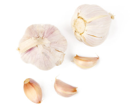 Garlic bulb and garlic cloves isolated white background