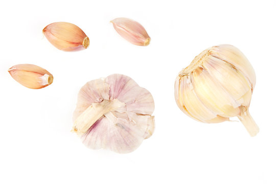 Garlic isolated white background
