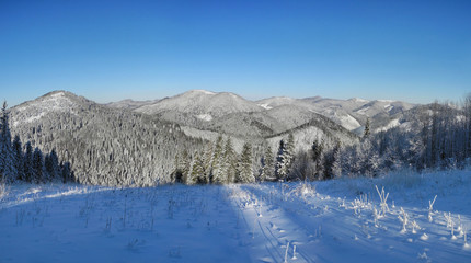 Fototapeta na wymiar Beautiful panoramic view of the Carpatian Mountains under the snow.