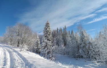 Country road in the mountains covered with fresh snow. Beautiful winter landscape.