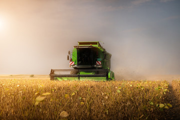 Obraz premium Harvesting of soybean field with combine
