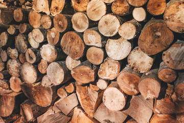Firewood for the winter, stacks of firewood
