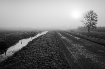 Brumes et brouillard sur route des Marais de Moeze Oléron
