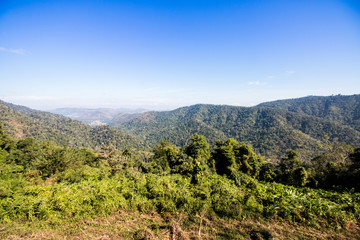 Fototapeta na wymiar mountain and forest view in khoayai thailand