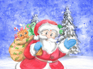 Traditional Santa Claus with cat in sack