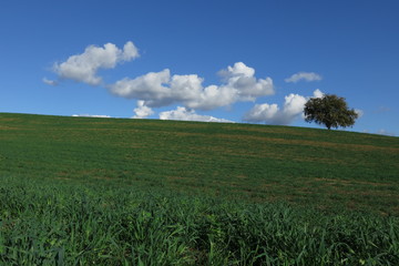 campagna