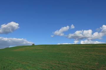 campagna