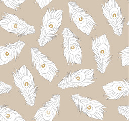 Seamless pattern colorful feathers