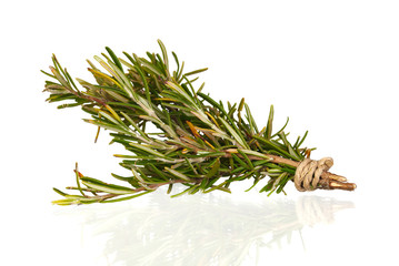 Rosemary branch