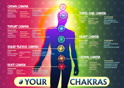 Your 7 Chakras