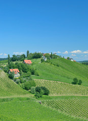 Fototapeta premium in der Steirischen Toskana nahe Leutschach,Steiermark,Österreich