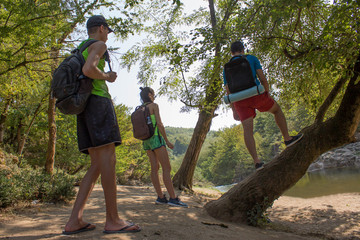 Group of hikers with backpack are having a walking journey through the forest on a sunny day. Friends are exploring the mountain woods on a weekend