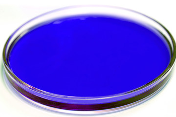 Petri dish with blue samples