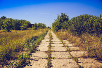 Pathway of concrete tiles, overgrown with grass. Post apocalypse concept