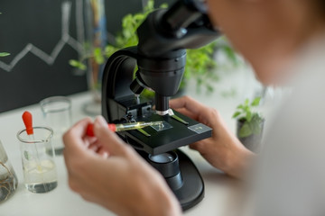 Scientist doing research on plants