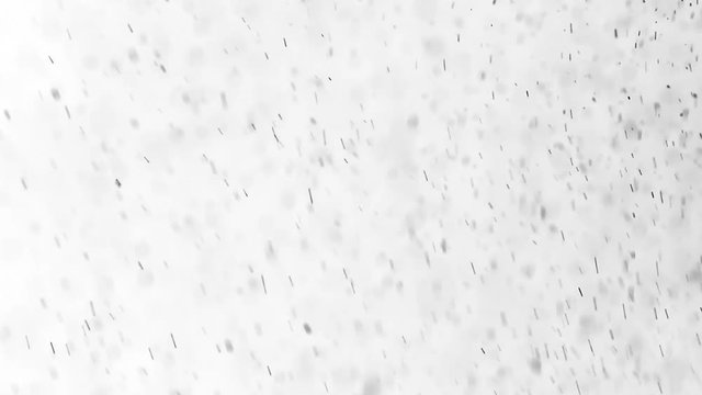 Black Dust Particles Fly On A White Background