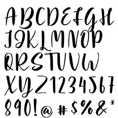 Handwritten calligraphy font. Vector alphabet. Hand drawn letters