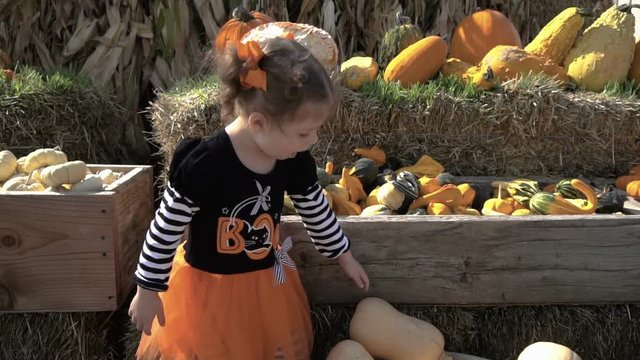 Toddler girl in cute Halloween dress looking for perfect pumpkin at the pumpkin patch