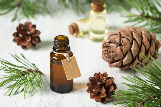 The essential oil of cedar and spruce