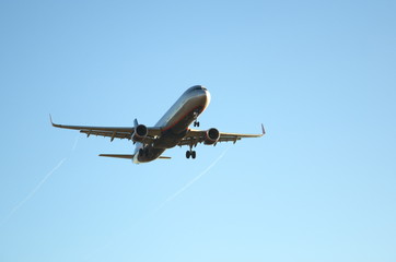 Fototapeta na wymiar A passenger plane lands at the airport