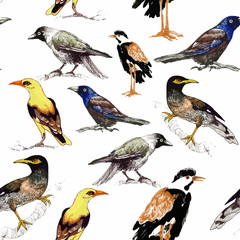 Watercolor hand drawn seamless pattern with beautiful flowers and colorful birds on white background.