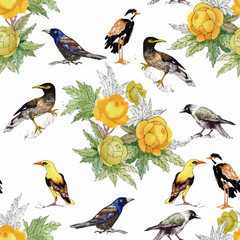 Watercolor hand drawn seamless pattern with beautiful flowers and colorful birds on white background.