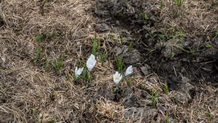 Österreich Landschaften