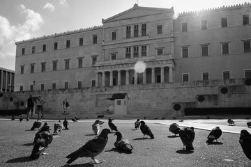 Sintagma Square Doves