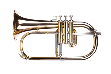 Fototapeta na wymiar Trumpet on white background