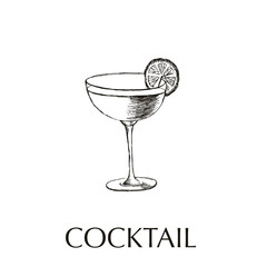 Cocktail hand drawn