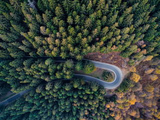 Overhead aerial top view over hairpin turn road bend in countryside autumn pine forest.Fall...