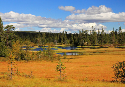 Lake, Salen, Sweeden, Scandinavia, Taiga, polar