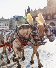 Foto auf Acrylglas Horses and carriage in Main Market Square or in front of the Renaissance Cloth Hall (Sukiennice), polish city Cracow (Krakow). Summer and holidays in Poland. © Szymon