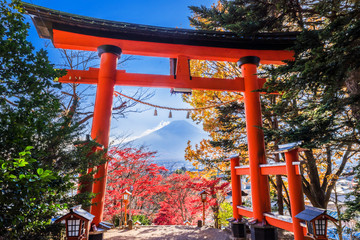 紅葉の新倉山浅間公園 赤い鳥居と富士山の風景 / Scenery of autumn leaves, Mt....