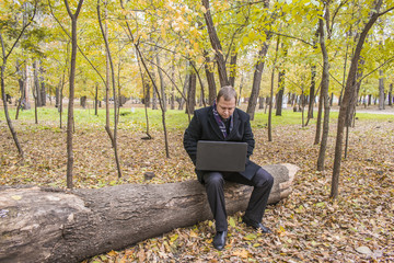 Fototapeta premium Businessman having a laptop in the park in the fall. Young man sitting on tree in park with laptop on his lap and checks e-mail.