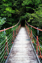 Obraz premium 御殿山さくらつり橋