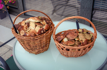 Two baskets full of forest mushrooms.