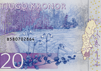 Sweden 20 krona (2015) banknote closeup, Swedish money close up..