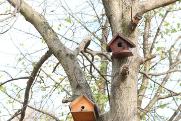 Birdhouse