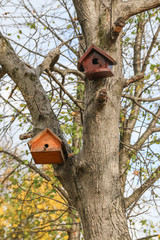 Birdhouse