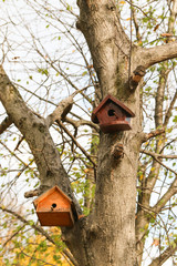 Birdhouse