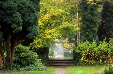 cimetière