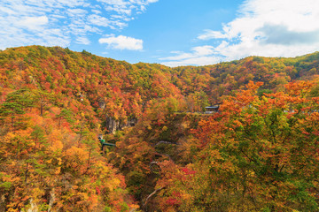 View of Naruko Gorge in autumn season,  Miyagi, Japan